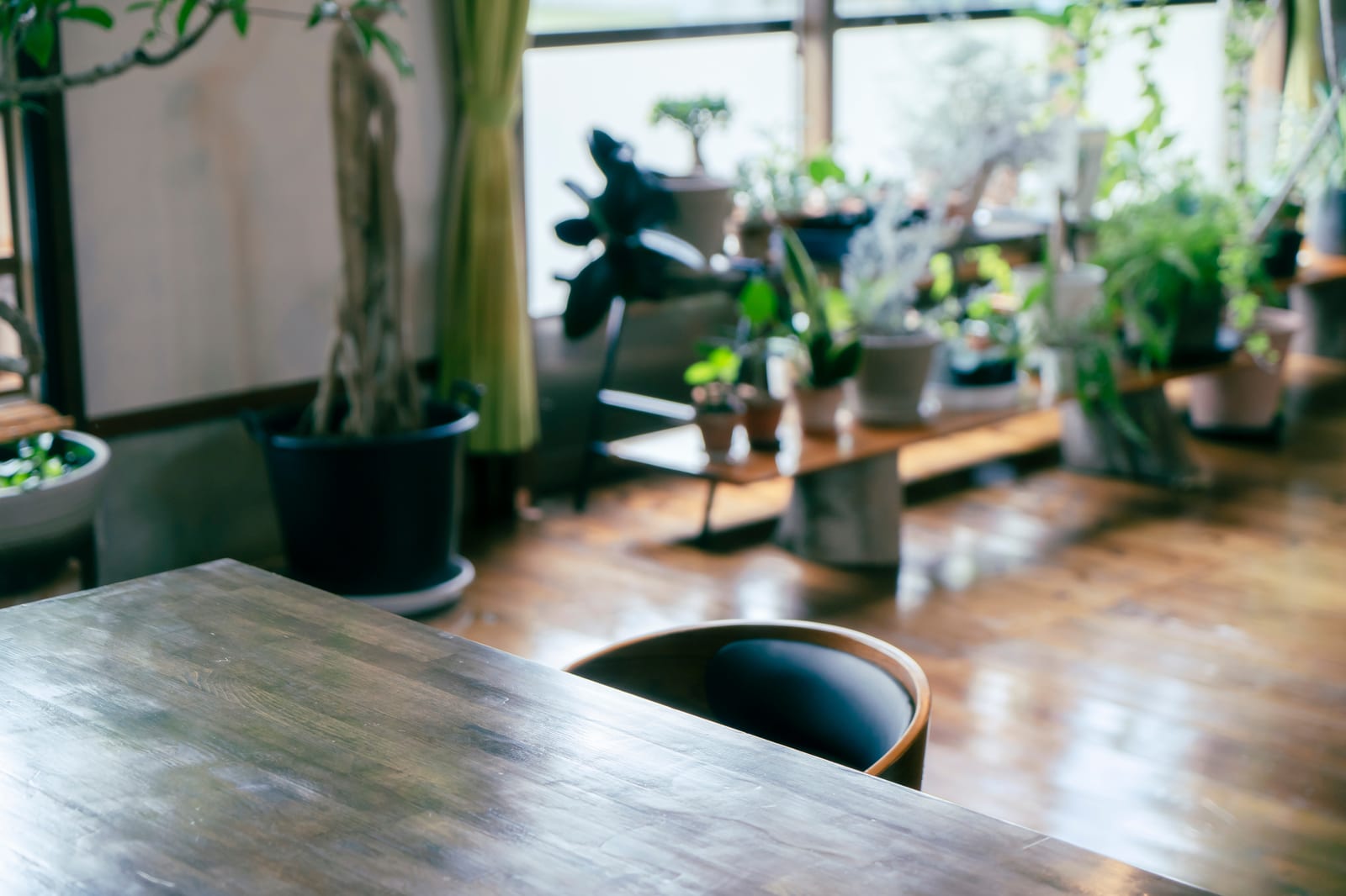 観葉植物の並ぶ打ち合わせテーブル