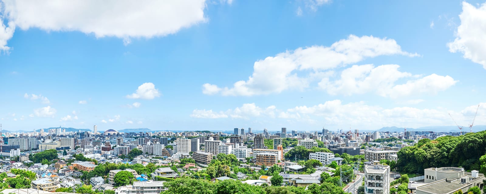 高台から見た都市の街並み