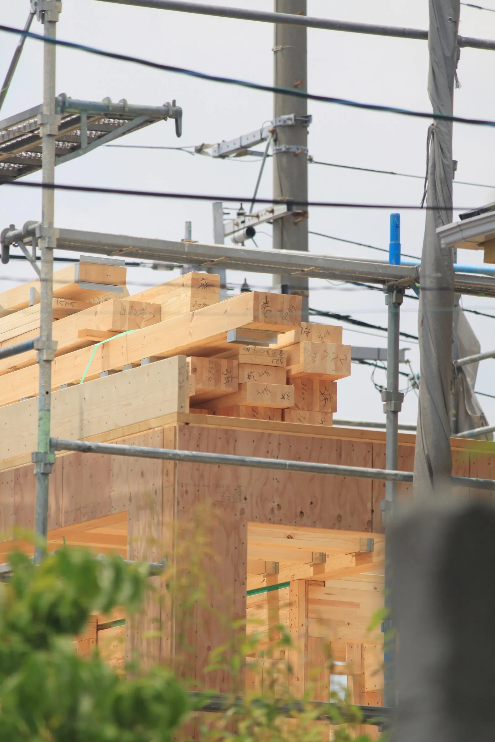 足場の上に積まれた構造用木材